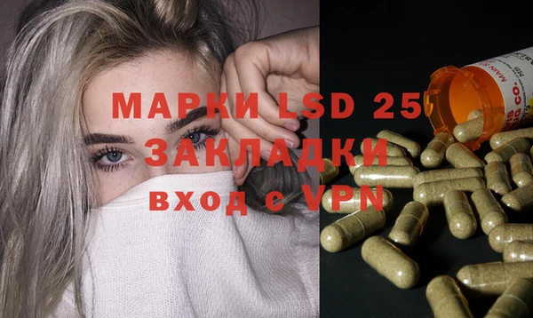 стаф Карпинск