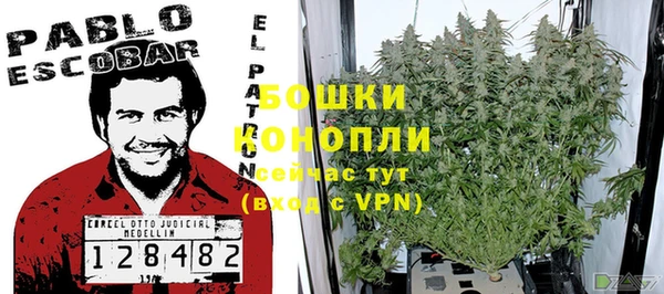 гидра Тында
