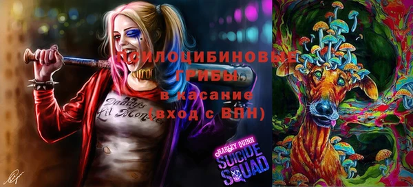 ALPHA PVP Туринск