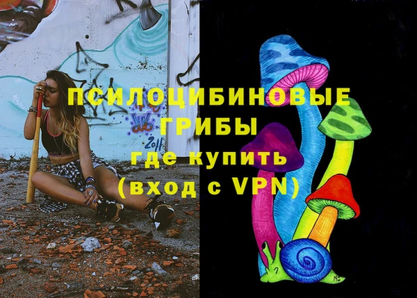 стаф Карпинск