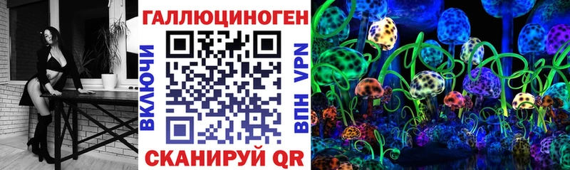 Купить  Гуково  Псилоцибиновые грибы Psilocybine cubensis 